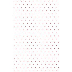 Saco 25X37 - C/ 25 Unds - Estrela Vermelha